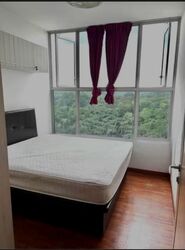 The Estuary (D27), Condominium #549734311